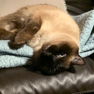 Meet your Posher, Teresa